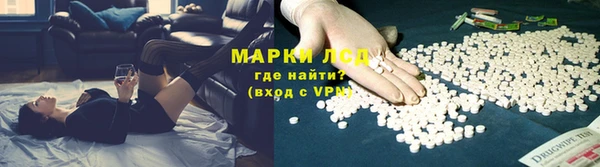 PSILOCYBIN Беломорск