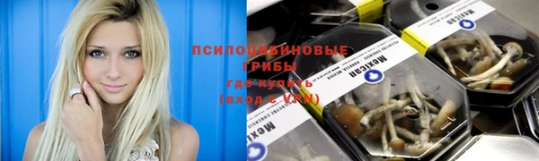 PSILOCYBIN Беломорск