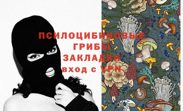 PSILOCYBIN Беломорск