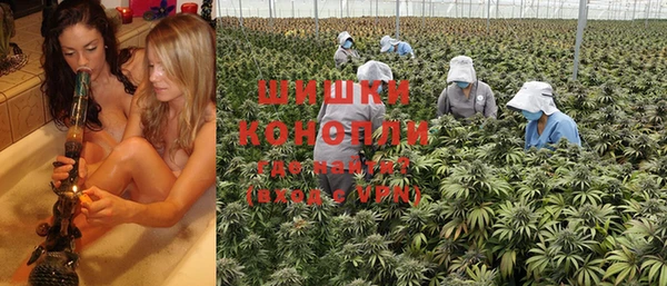 PSILOCYBIN Беломорск